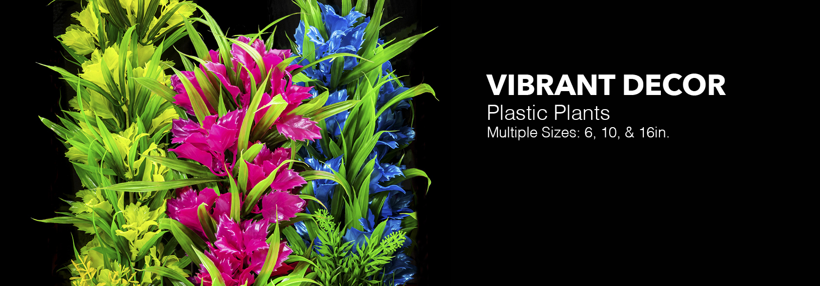 Vibrant colors